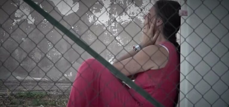 Famiglia nel bosco: le novità Famiglia nel bosco: le novità