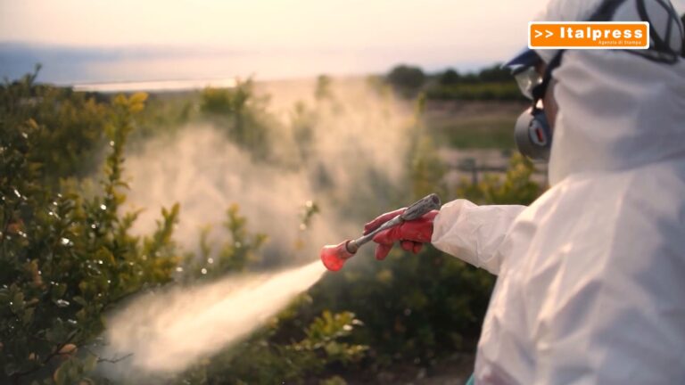 Pesticidi, allarme in Europa per salute e ambiente