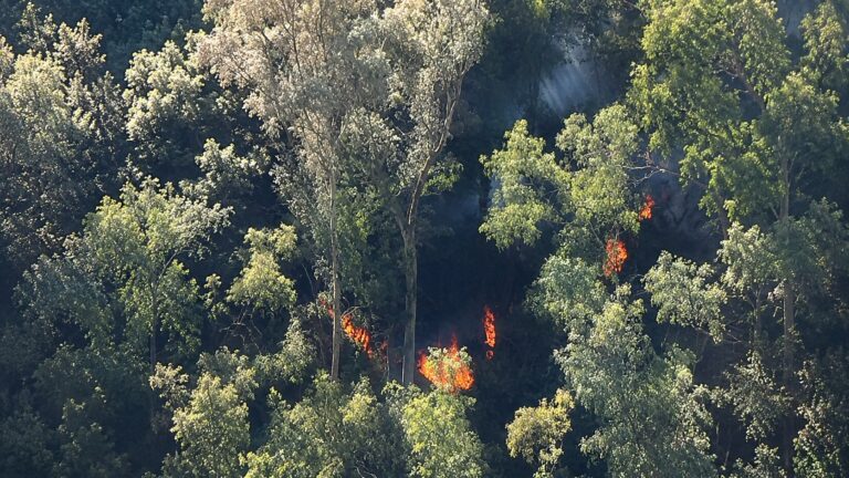 Altro incendio a Taormina, di nuovo fiamme allo Ziretto. Il sindaco ai piromani: “Bastardi e criminali”